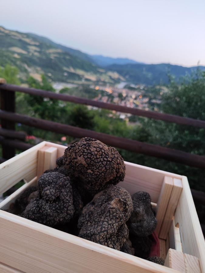 Вилла Il Torrione Del Trebbia Боббио Экстерьер фото